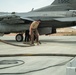55th EFS and EFGS take on Operation Agile Spartan
