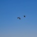 Croatian President Zoran Milanović visits Camp Ripley Training Center