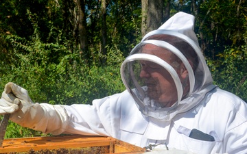 Patoka lake staff prepare beehives for the winter