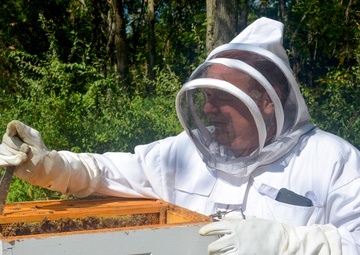 Winter preparation key to hive success at Patoka Lake