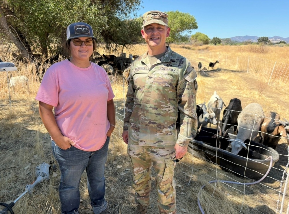 Fort Hunter Liggett maintains mission-ready training lands with Targeted Grazing