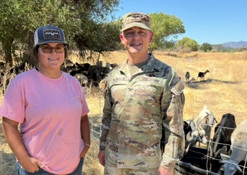 Fort Hunter Liggett maintains mission-ready training lands with Targeted Grazing