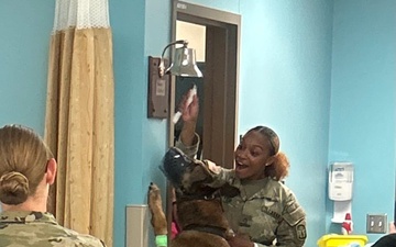 Fort Bragg Working Dog Gets a Fighting Chance at WAMC
