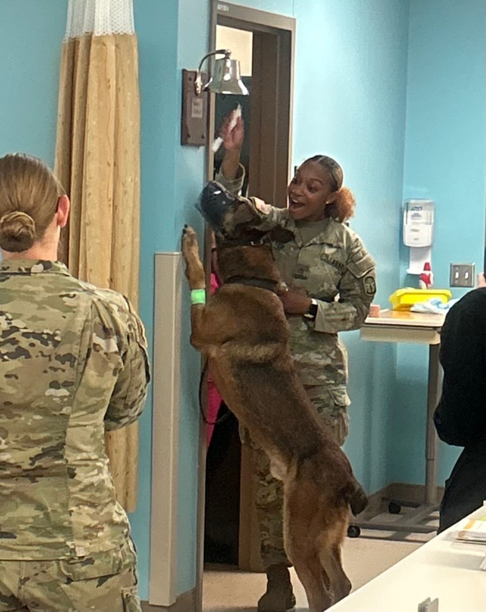 Fort Bragg Working Dog Gets a Fighting Chance at WAMC