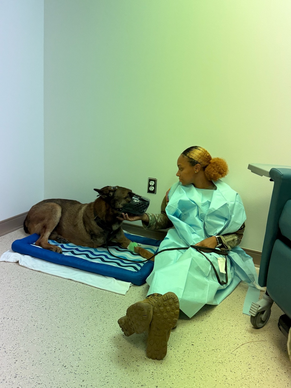 Fort Bragg Working Dog Gets a Fighting Chance at WAMC