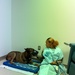 Fort Bragg Working Dog Gets a Fighting Chance at WAMC