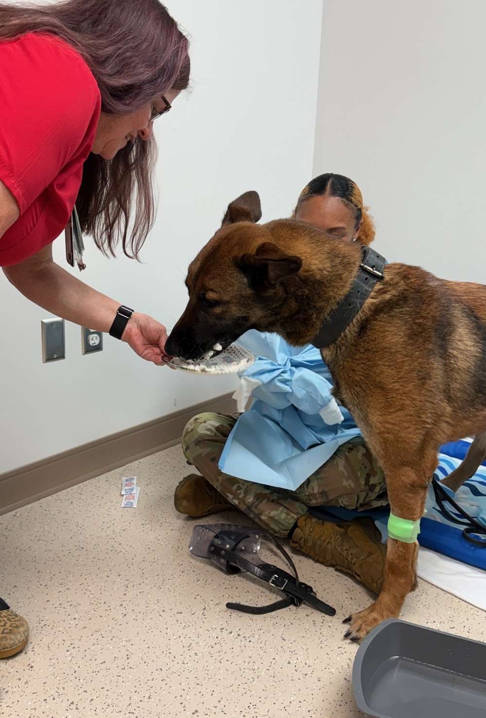 Fort Bragg Working Dog Gets a Fighting Chance at WAMC