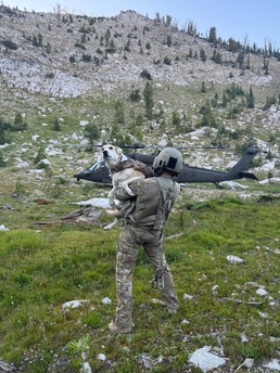 Idaho Army National Guard conducts 11 search and rescue missions