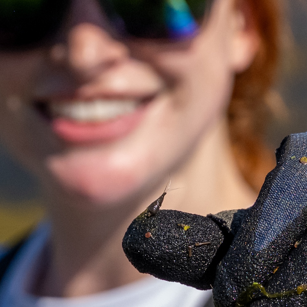 Invasive European Frogbit Sampling