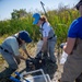 Invasive European Frogbit Sampling