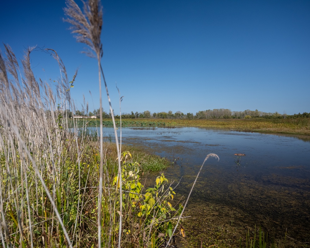 Invasive European Frogbit Sampling