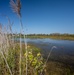 Invasive European Frogbit Sampling