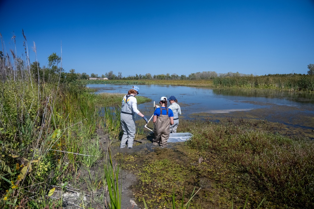 Invasive European Frogbit Sampling