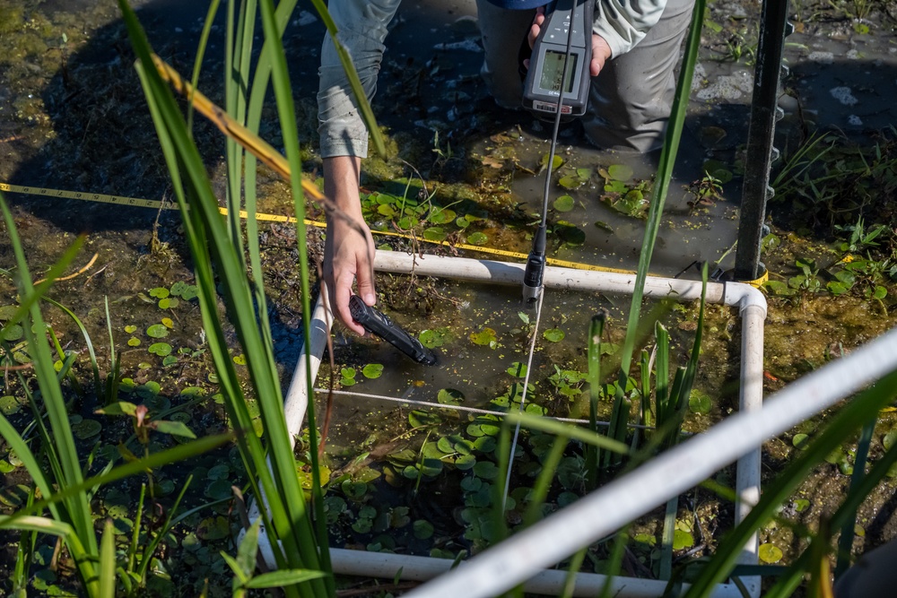 Invasive European Frogbit Sampling