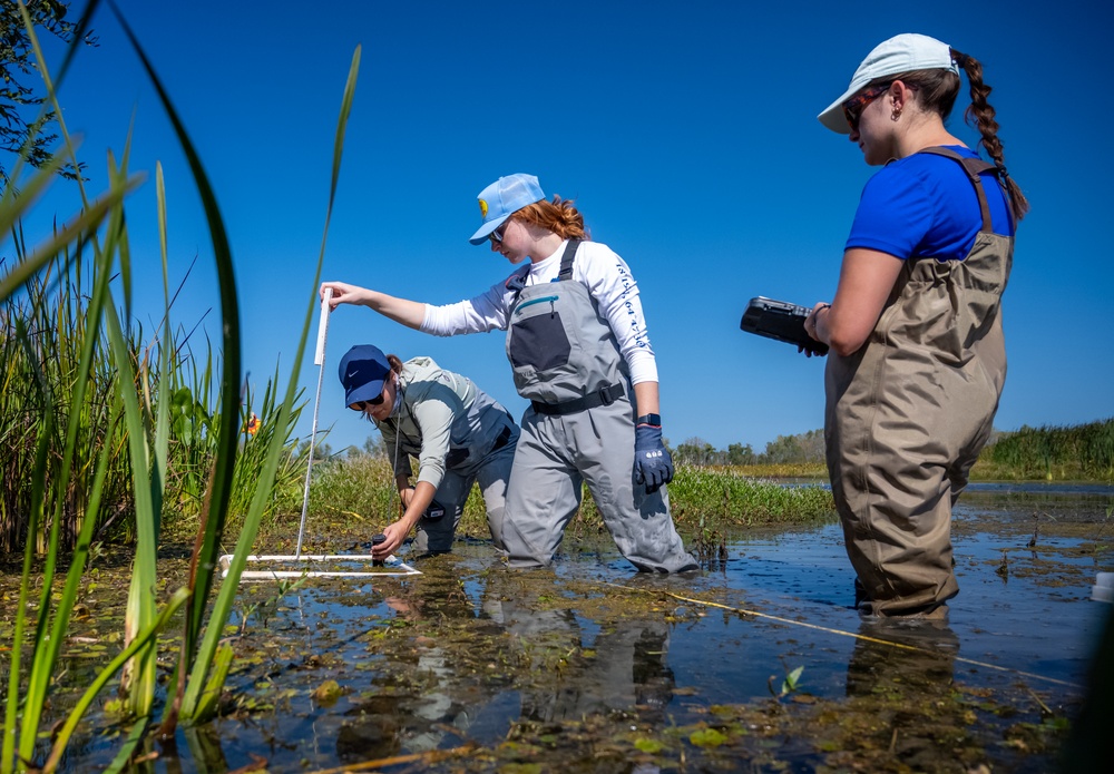 Invasive European Frogbit Sampling