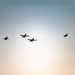 Osan Air Base Upgrading Air Combat Capabilities
