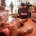 449th Air Expeditionary Group provides support for mass casualty exercise Pale Serpent