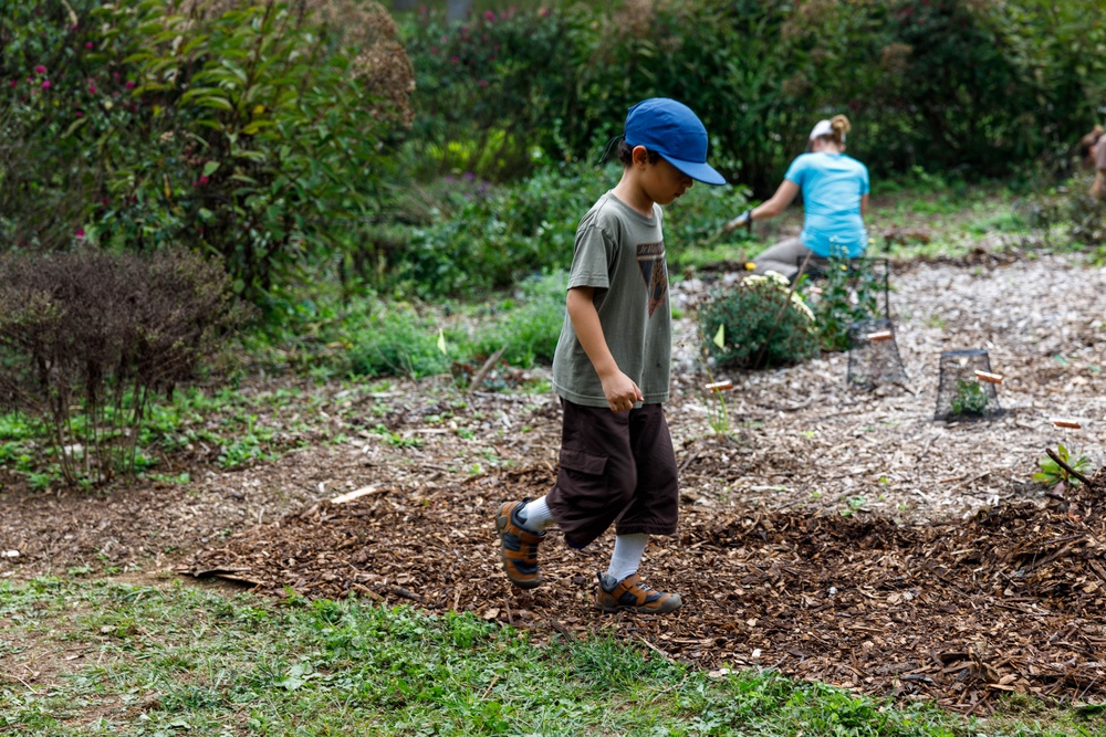 Volunteers celebrate National Public Lands Day at Pollinator Garden