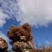 95th Combat Engineer Company Demo Range