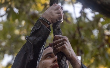 Combat Logistics Battalion 24 Participate in Endurance Course