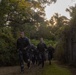 Combat Logistics Battalion 24 Participate in Endurance Course