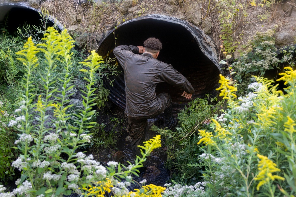 Combat Logistics Battalion 24 Participate in Endurance Course