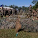 2nd MLG Headquarters and Service Battalion Marines Compete in Warrior Festival