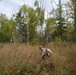 University of Alaska ROTC Fall 2025 FTX