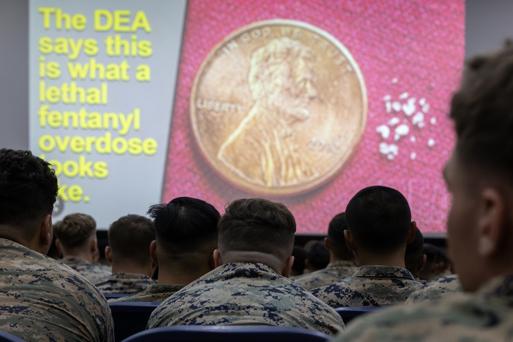 2/23 Marines Demobilization Brief