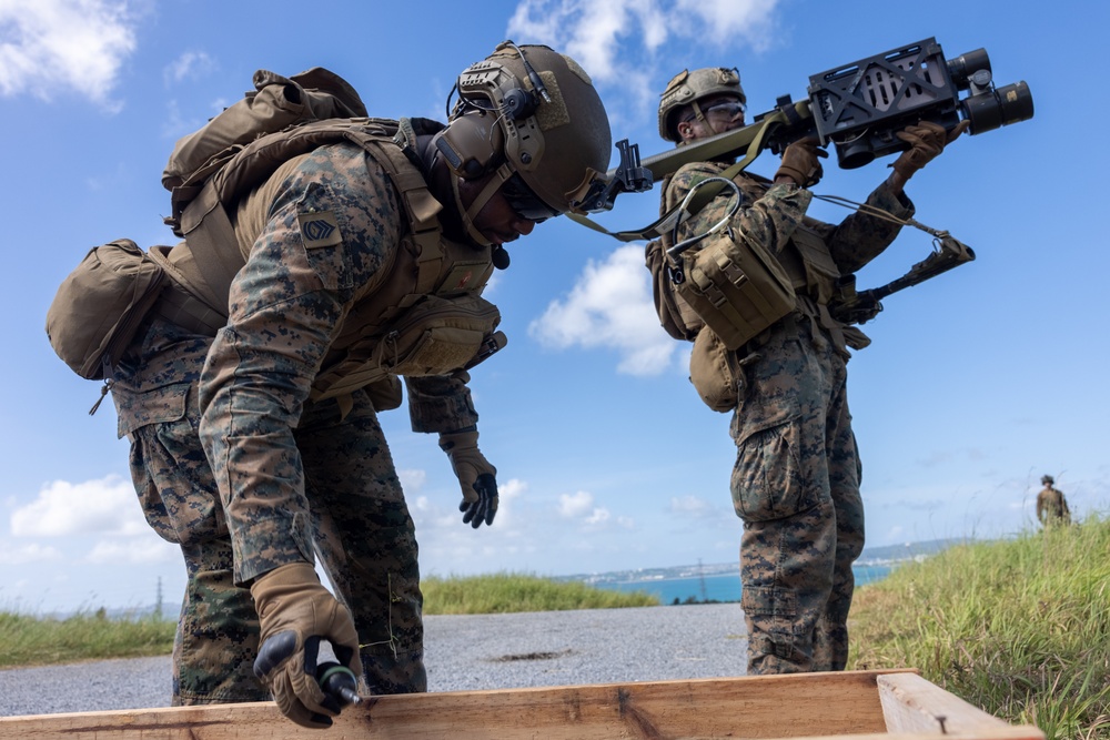 2nd LAAD Stinger Range