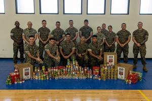 AFN Aviano Radio Spot: American Red Cross Blood Drive