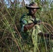 Strengthening Partnerships: U.S. and Gabonese Agence National des Parcs Nationaux Complete JCET