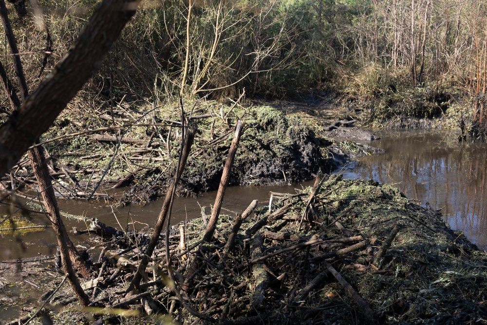 Beaver Dam Demolition