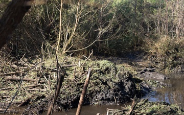 Beaver Dam Demolition