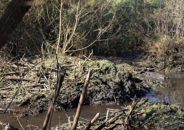 Beaver Dam Demolition