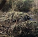 Beaver Dam Demolition