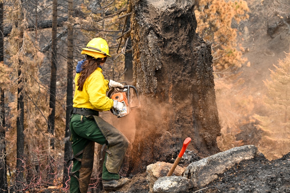 Hazard Tree Falling on the Garnet Fire