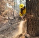 Hazard Tree Falling on the Garnet Fire