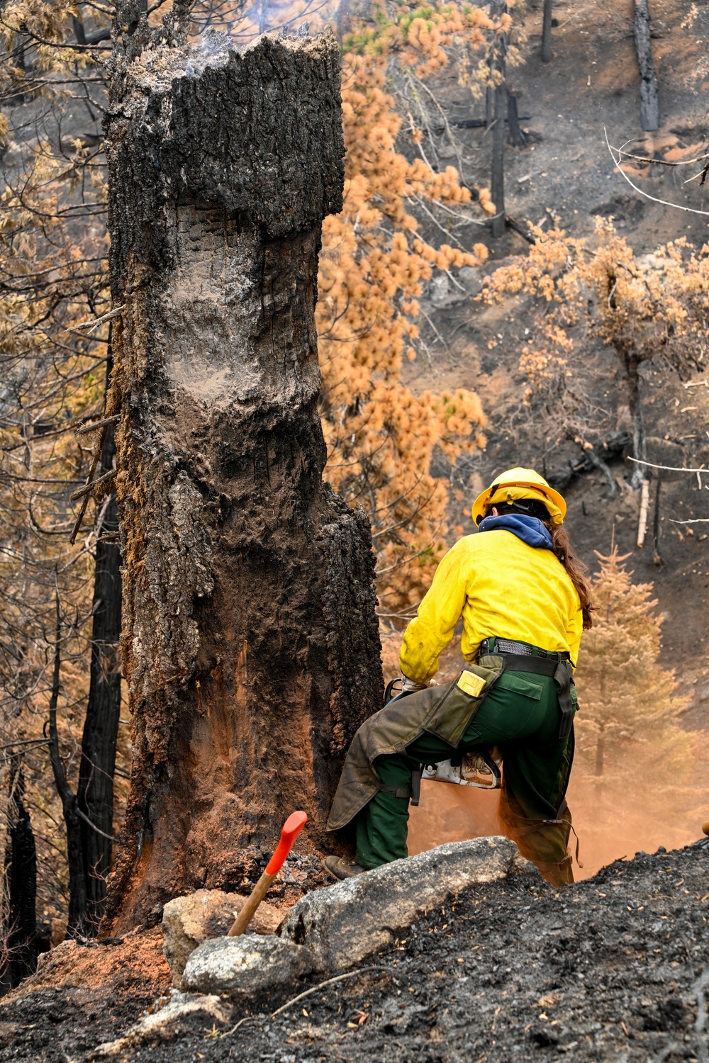 Hazard Tree Falling on the Garnet Fire