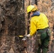 Felling Hazard Trees on the Garnet Fire