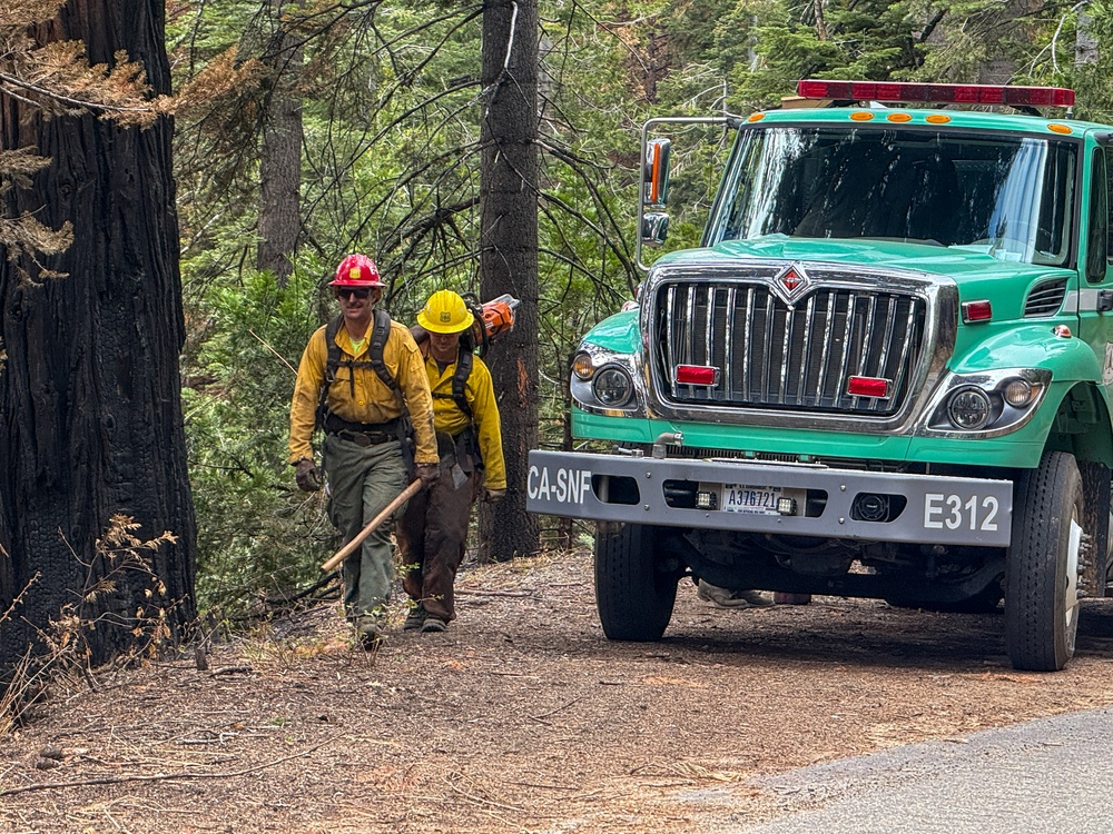 On the Road to Hazard Trees