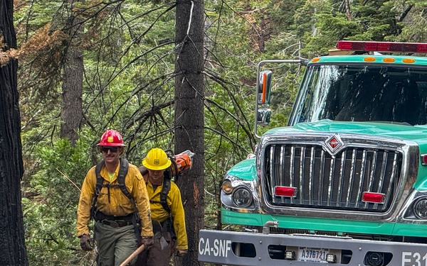 On the Road to Hazard Trees