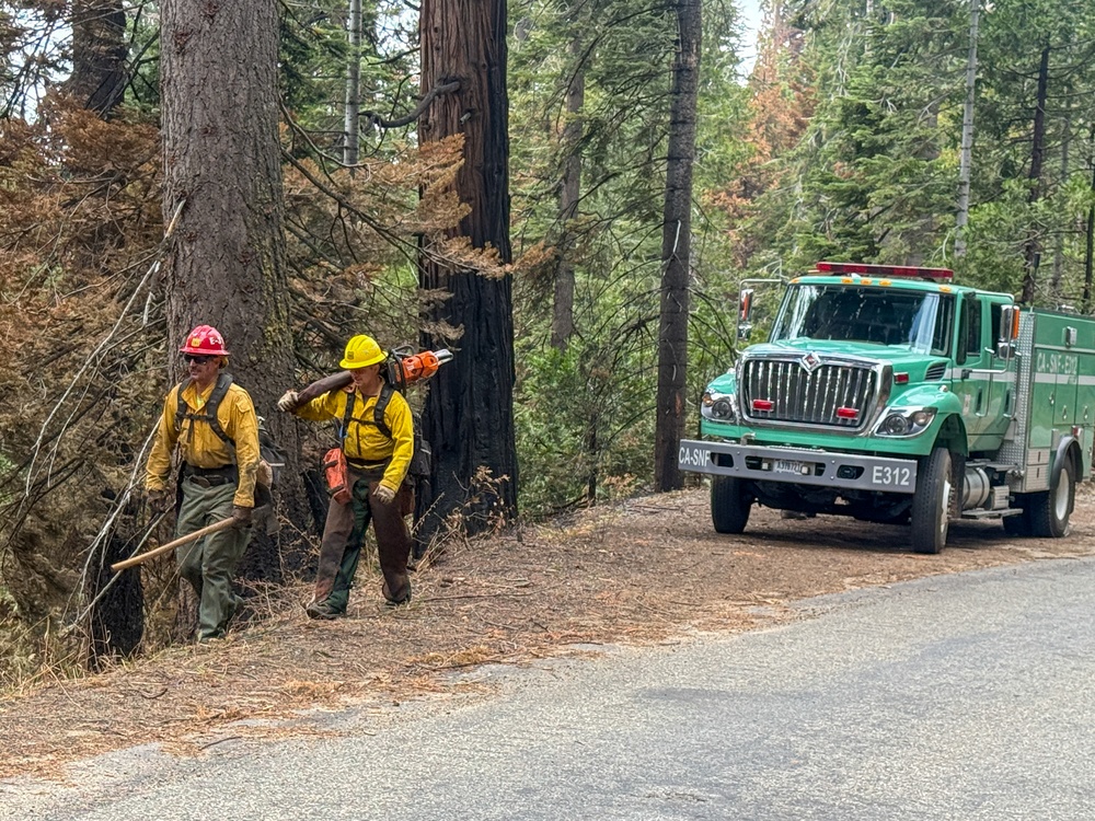 On the Road to Hazard Trees