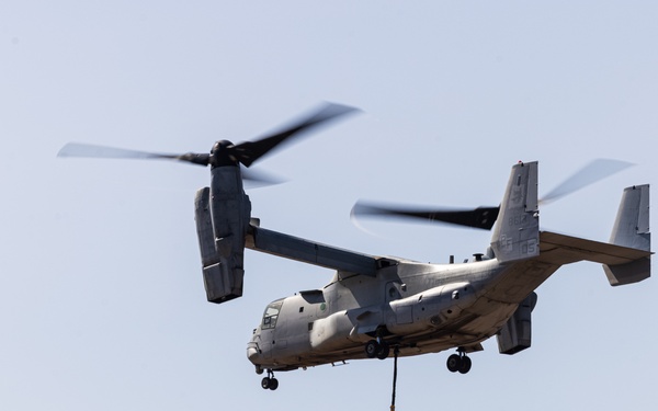 1st DSB HST training