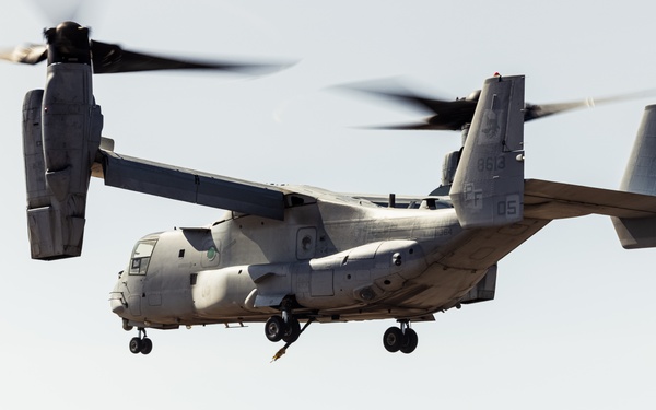 1st DSB HST training