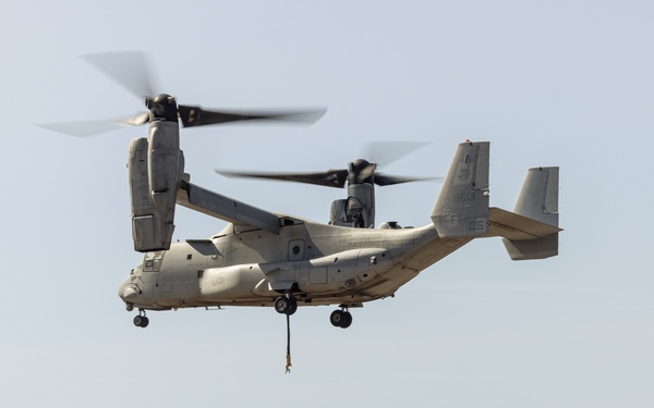 1st DSB HST training