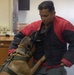MCAS Iwakuni PMO Hosts Bilateral K-9 Training