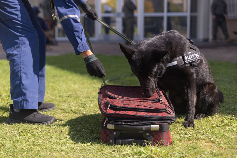 MCAS Iwakuni PMO Hosts Bilateral K-9 Training