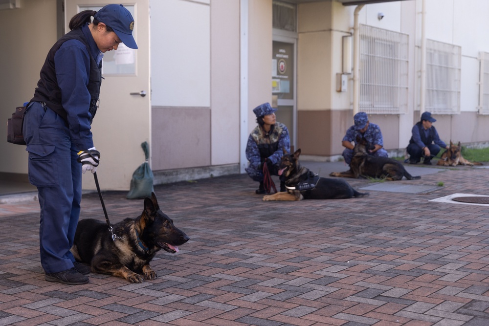 MCAS Iwakuni PMO Hosts Bilateral K-9 Training