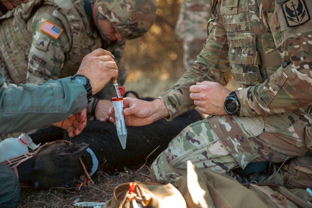 KFOR U.S. and German Medical Personnel and Local Veterinarians Train on K9 TCCC